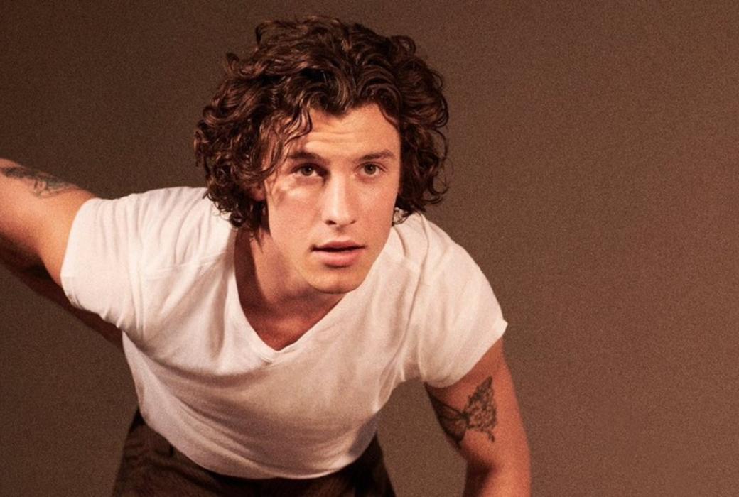 Films Et Séries Tv Avec Shawn Mendes Shawn Mendes va avea propriul film documentar pe Netflix: In Wonder